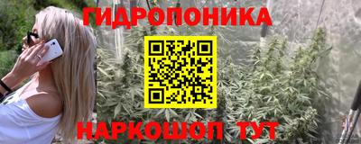 мескалин Заводоуковск