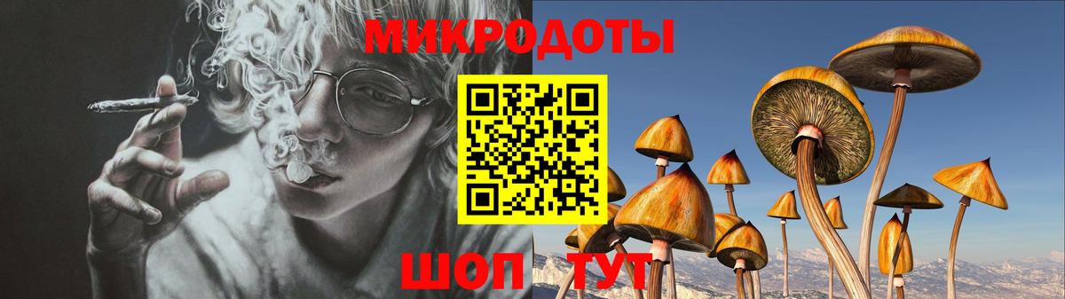 Галлюциногенные грибы Psilocybe  как найти наркотики  Ливны  Вход с VPN 